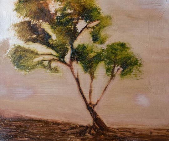 Photo of the oil painting Fairy Tree by Sinéad Smyth